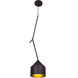 Pizzazz LED 8 inch Black and Gold Pendant Ceiling Light 