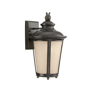 Cape May 1 Light 15.5 inch Burled Iron Outdoor Wall Lantern, Medium