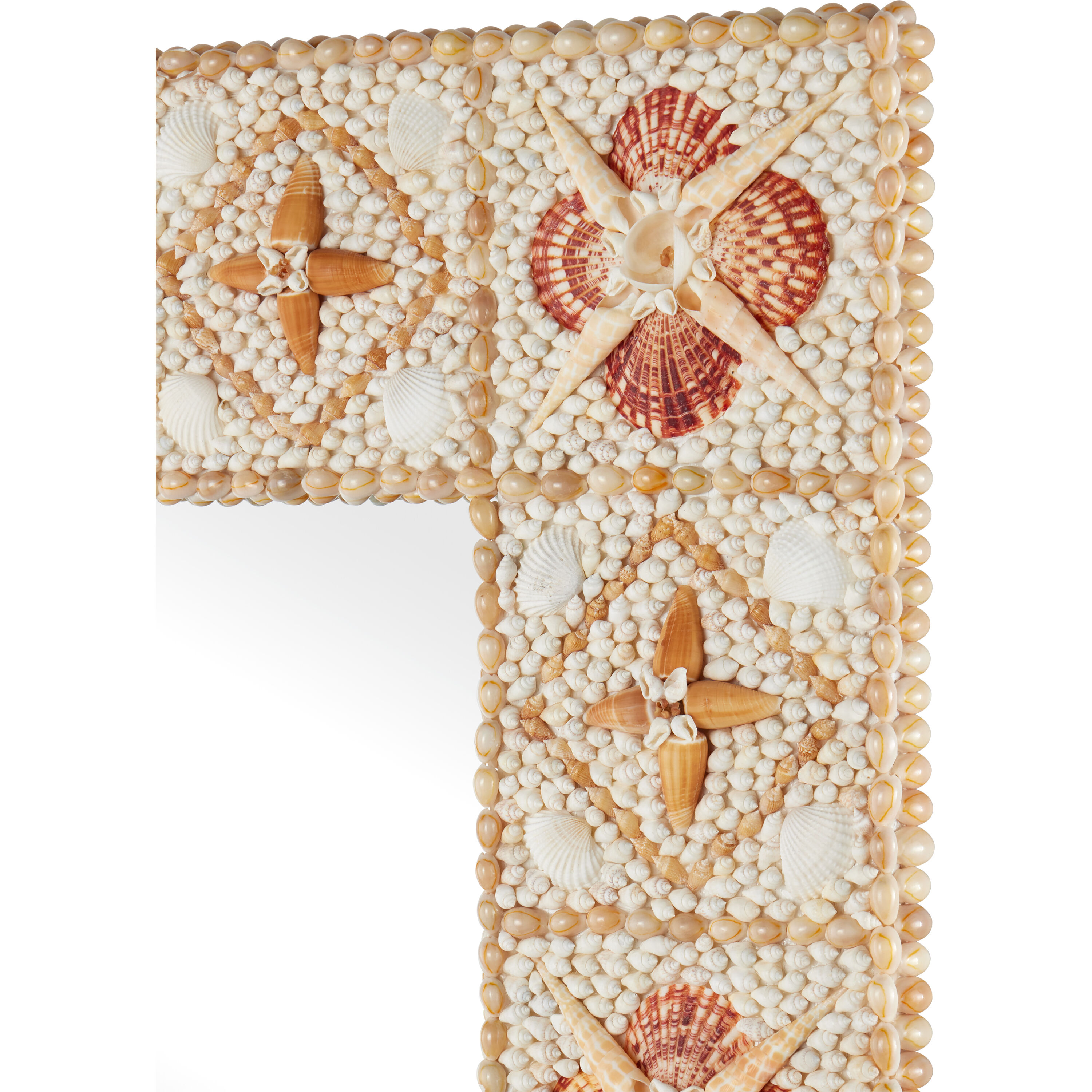 Junonia 42.25 X 30 inch Natural Mirror