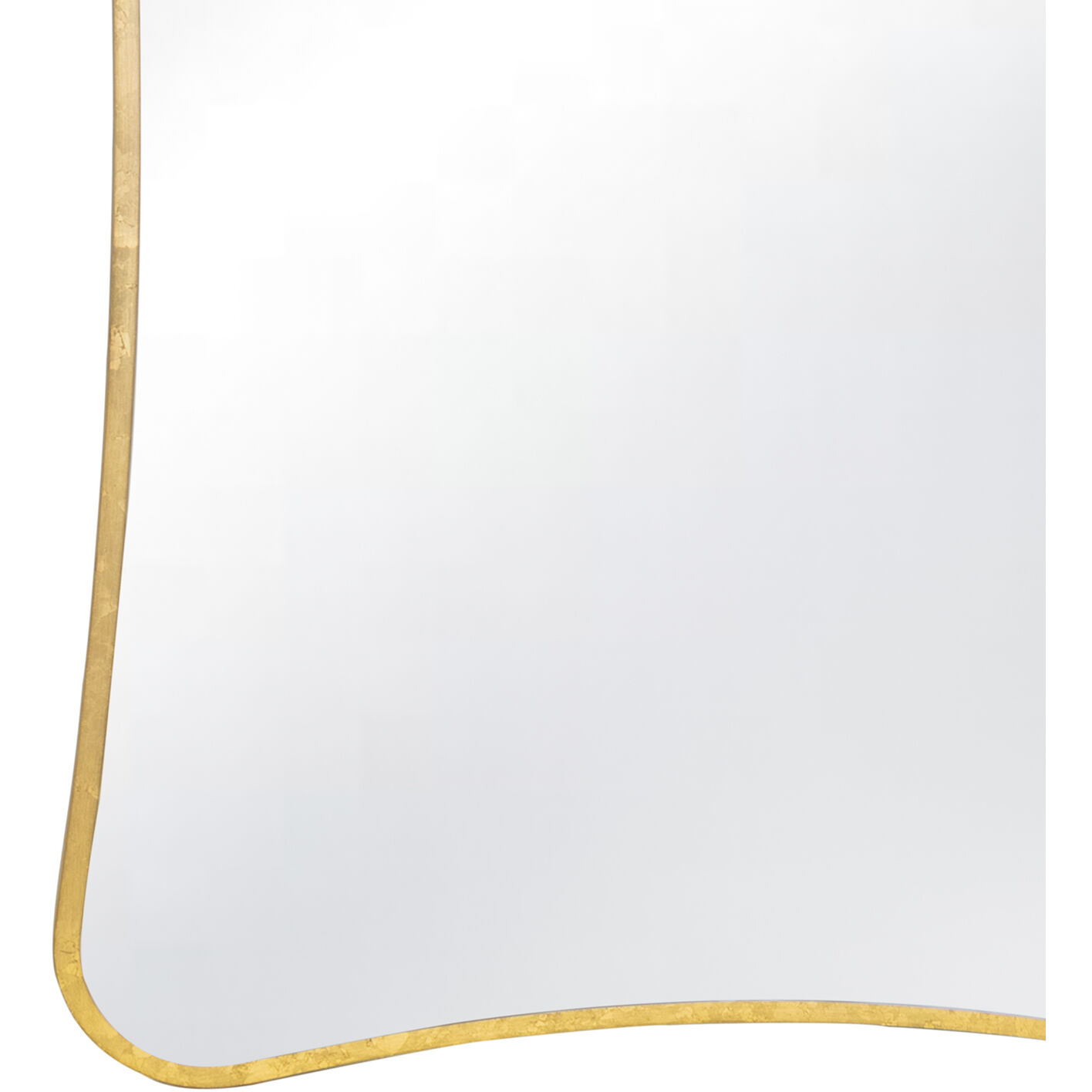 Lyrical 44 X 28 inch Gold Leaf Mirror