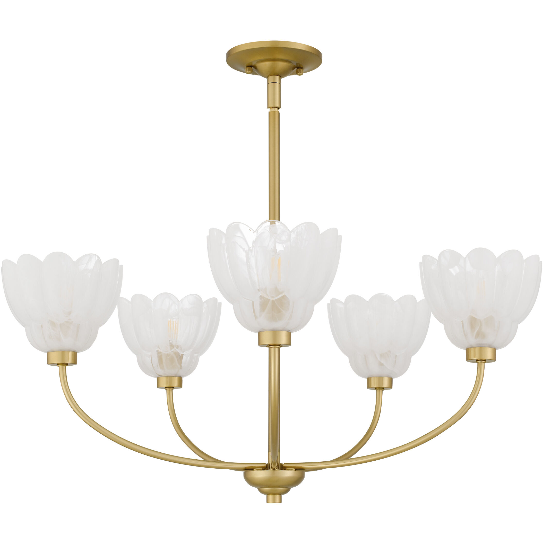 Whitecap 5 Light 28 inch Brushed Gold Chandelier Ceiling Light