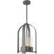 Triomphe 4 Light 13 inch Coastal Burnished Steel Outdoor Lantern in Seeded Clear