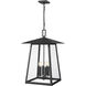 Rainer 6 Light 17.5 inch Black Outdoor Chain Mount Ceiling Fixture in G9