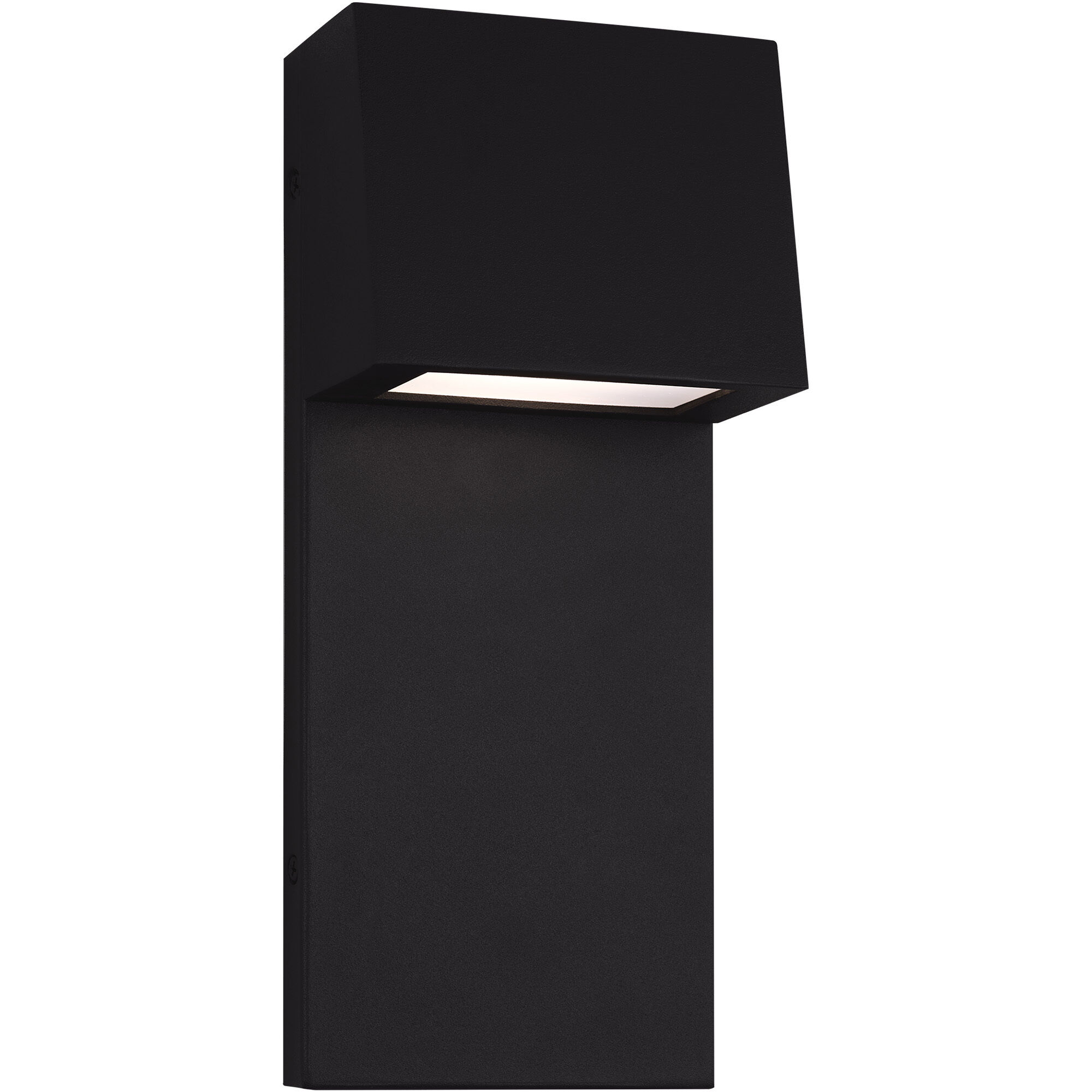 Rocha LED 12 inch Black Outdoor Wall Lantern