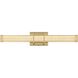 Ivaan Wall Sconce Wall Light