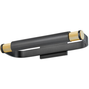 Elm Park 2 Light 18.00 inch Picture Light