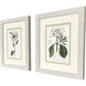 Tropical Botanical II Green and Pink and White Framed Art, Propac