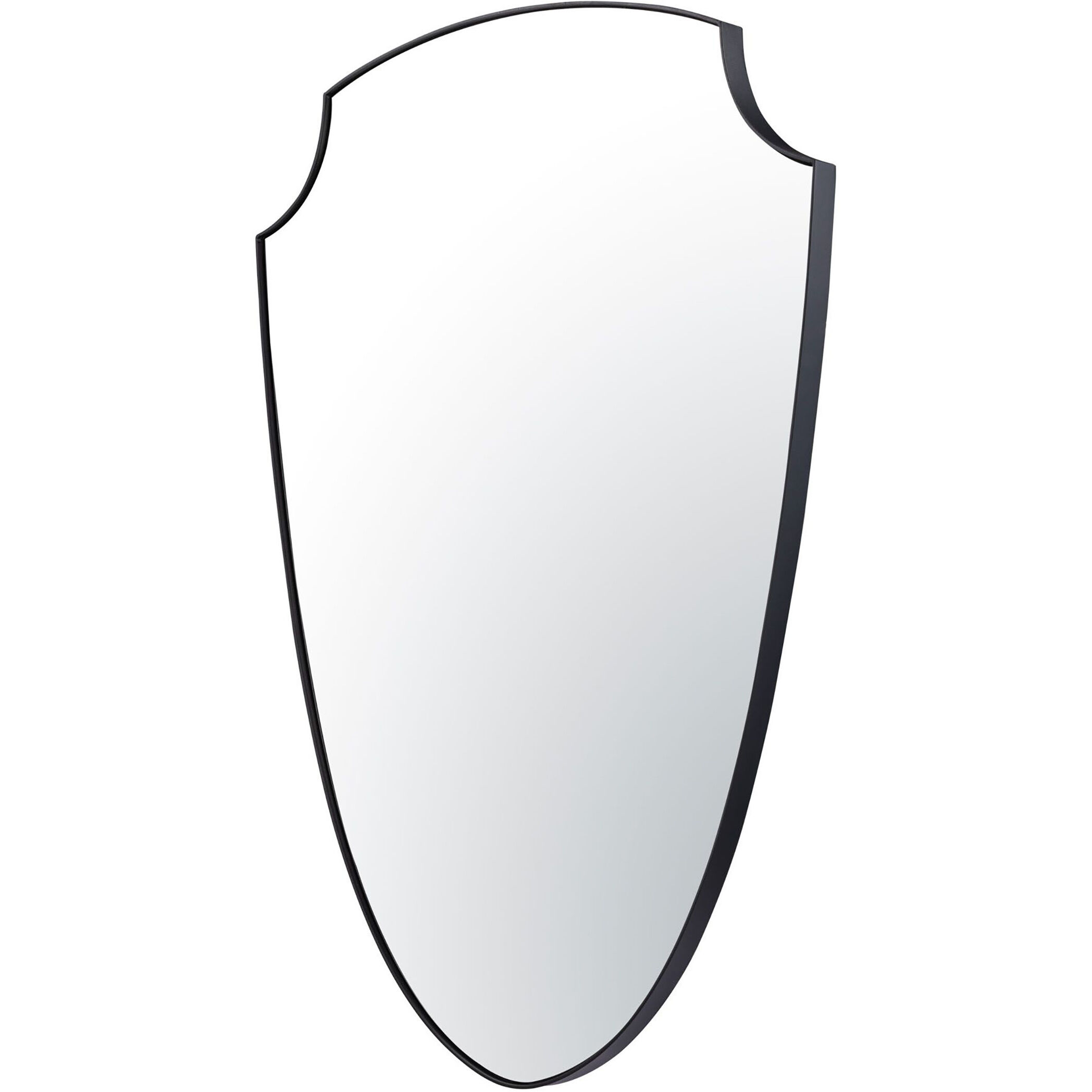 Shield Your Eyes 33.5 X 24 inch Black Wall Mirror