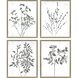 Photography Collection Neutral Framed Art
