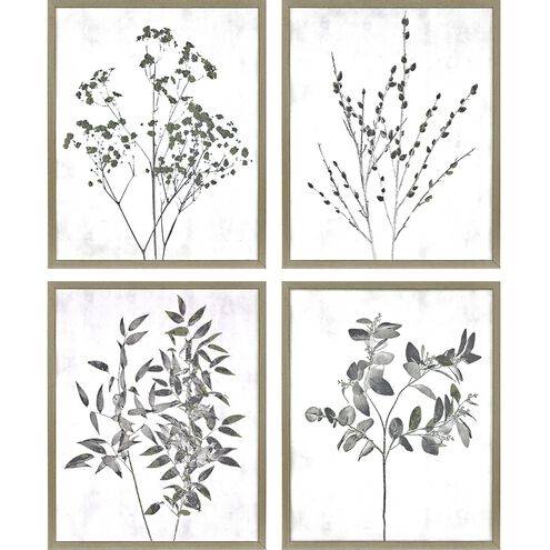 Photography Collection Neutral Framed Art