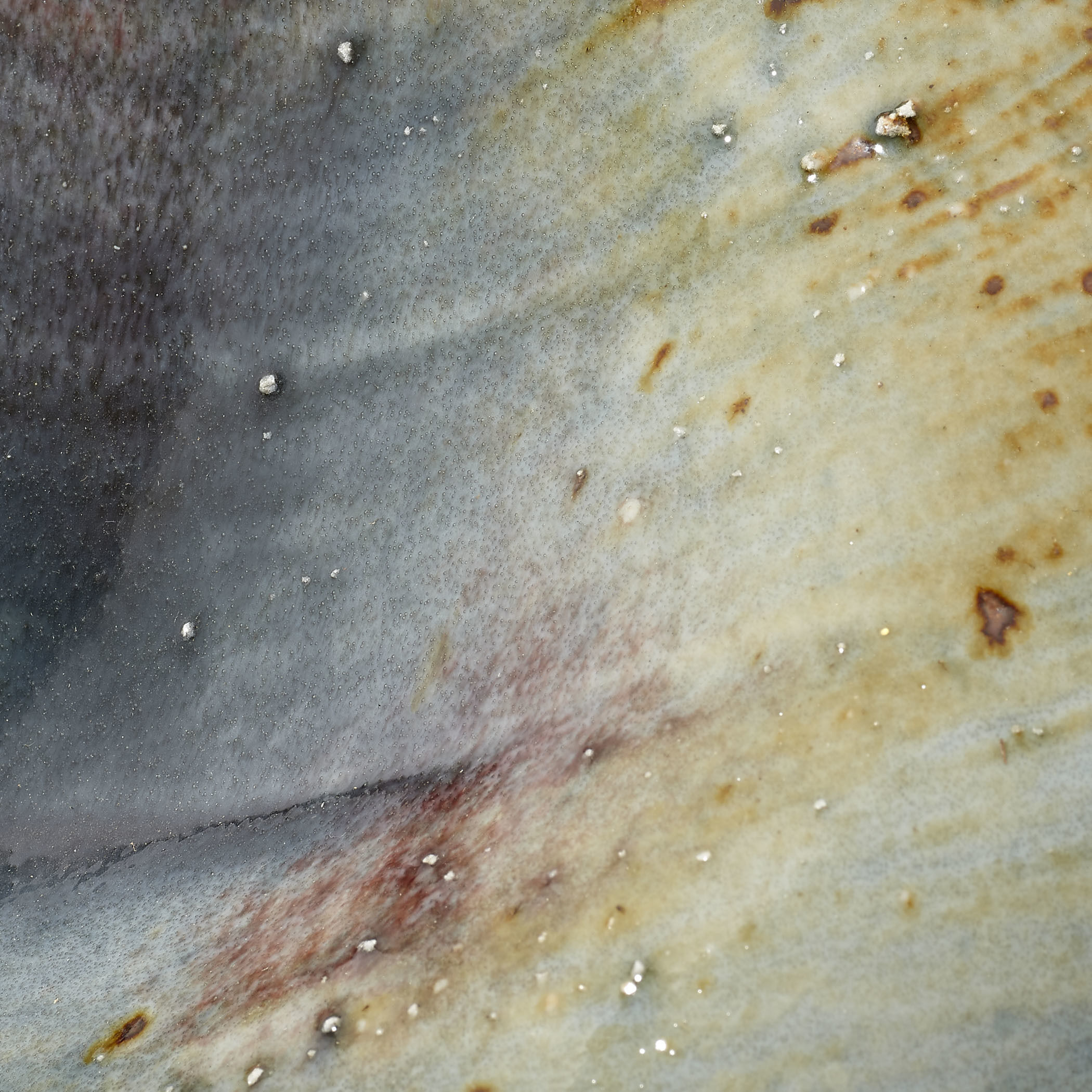 Madrid 10.5 X 10.5 inch Vase