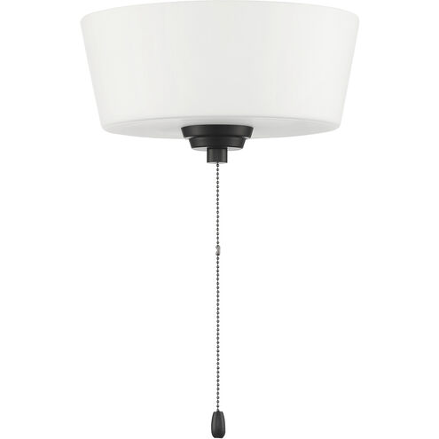 Outdoor Bowl LED Flat Black Fan Light Kit in White Glass