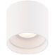 Squat 1 Light 5 inch White Outdoor Flush Mount in 4000K