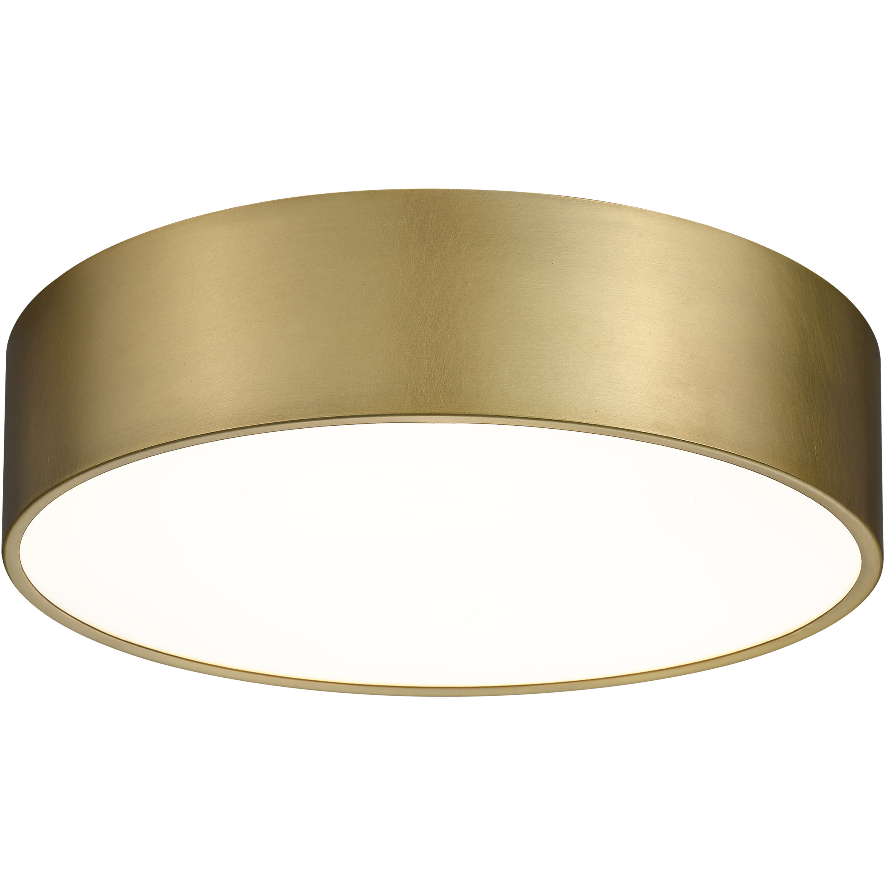 Harley 4 Light 20 inch Rubbed Brass Flush Mount Ceiling Light