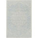 Oakland 36 X 24 inch Rugs in 2 x 3, Rectangle