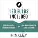 Aria LED 15 inch Buckeye Bronze Outdoor Wall Mount Lantern