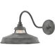 Troyer Outdoor Wall Mount Lantern in Aged Zinc