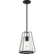 Farmhouse 1 Light 11.5 inch Matte Black Outdoor Hanging Lantern