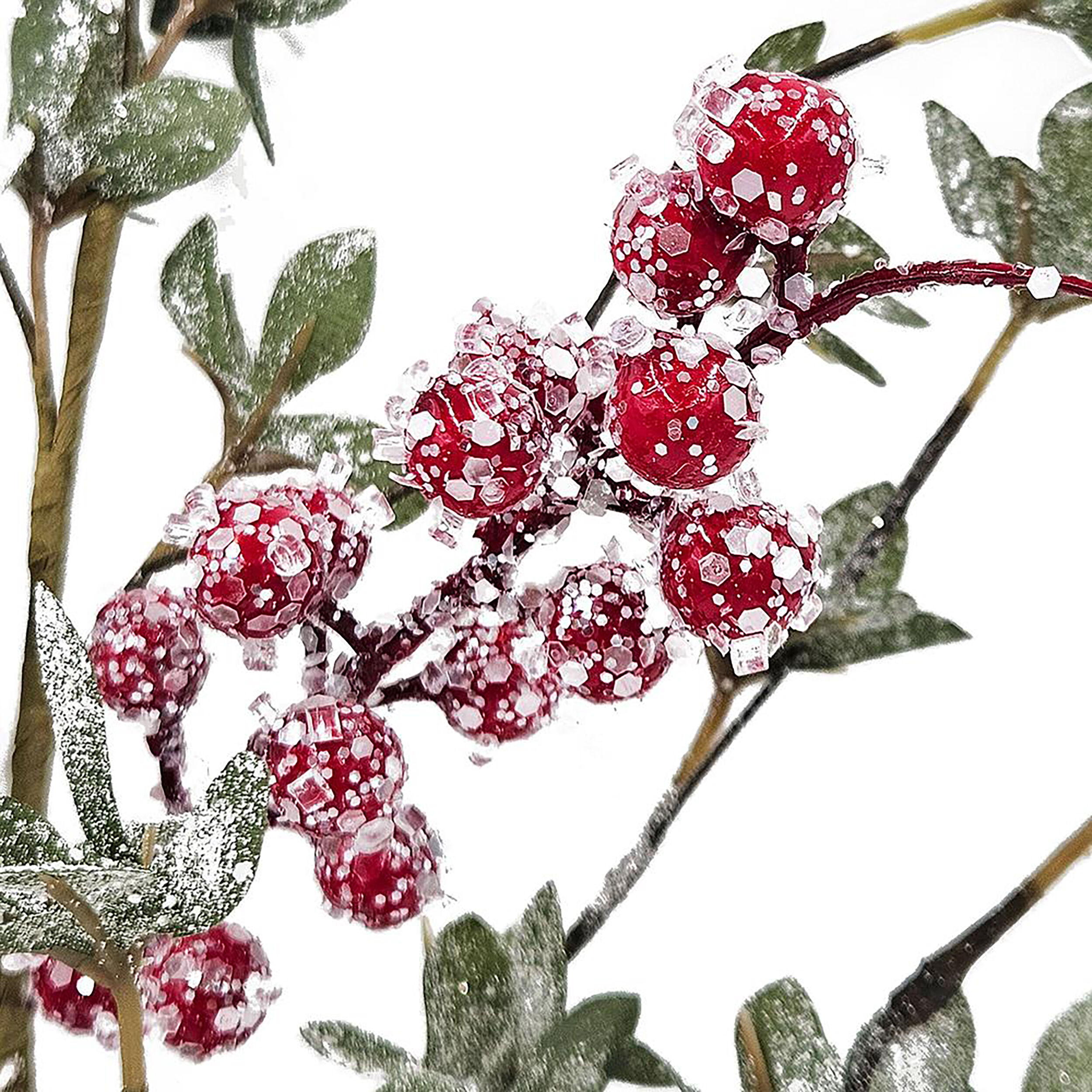 Anita Green and Red Faux Spray