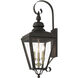 Adams 3 Light 10.63 inch Bronze with Antique Brass Finish Cluster Outdoor Large Wall Lantern Wall Light