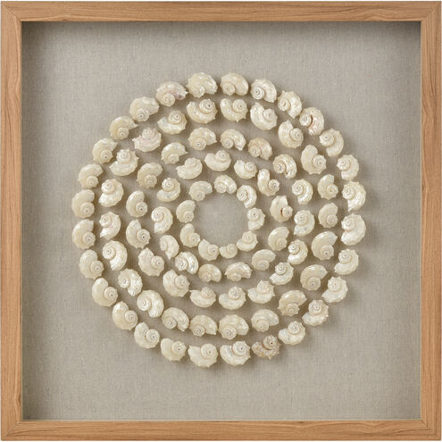 Concentric Shell Natural and Wood Tone with Clear Dimensional Wall Art
