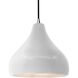 Radiance LED 11.5 inch Bisque and Brushed Nickel Pendant Ceiling Light