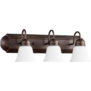 Fort Worth 3 Light 24.00 inch Bathroom Vanity Light
