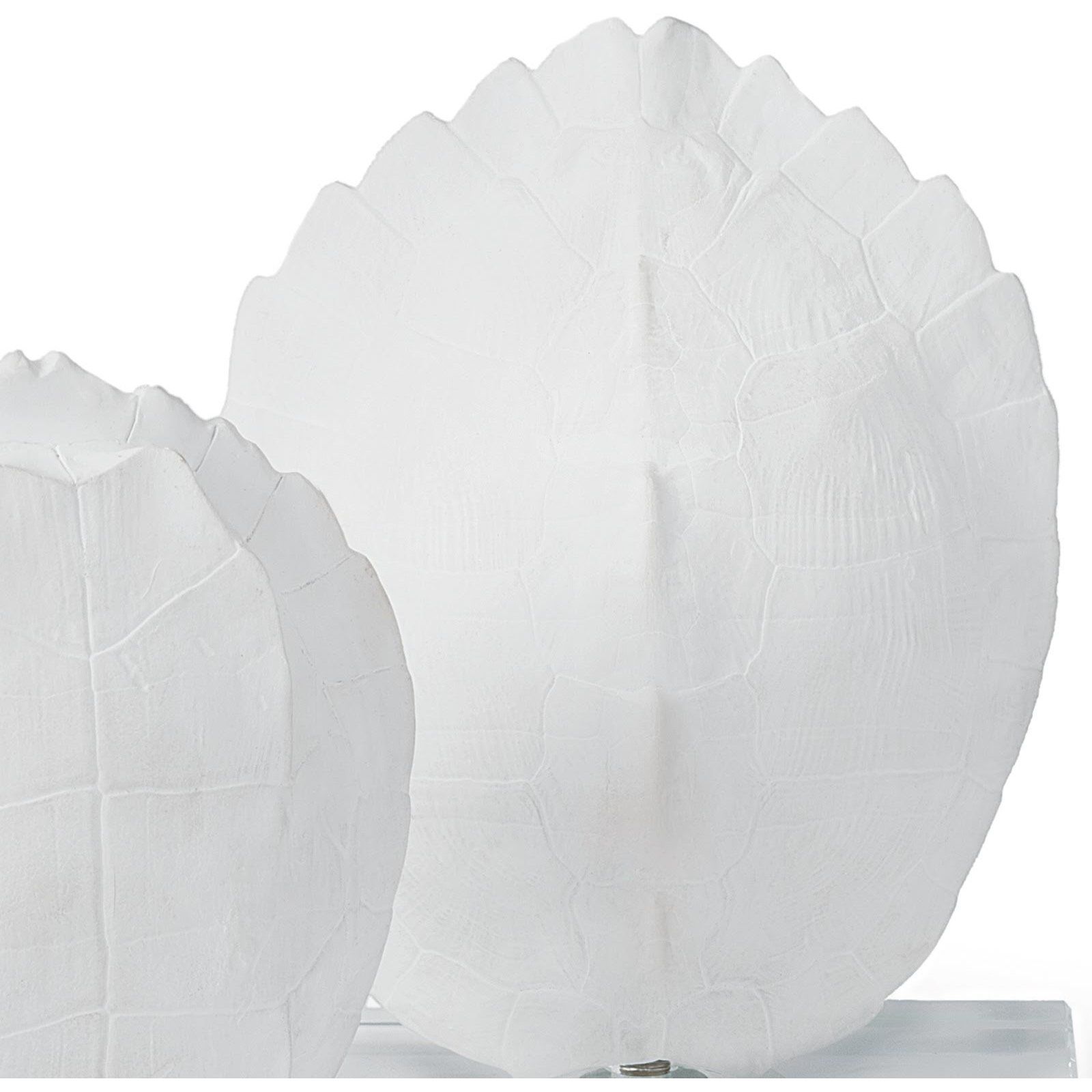 Turle Shells Natural Objet, On Crystal