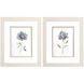 Florals Collection Gray Framed Art