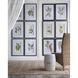 Smithsonian Black and Green/Yellow Wall Art, Assorted Fruit