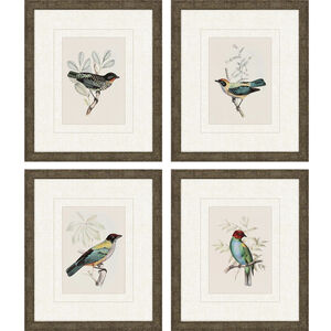 On Perch Multi and Turquoise and Red and Beige Framed Art