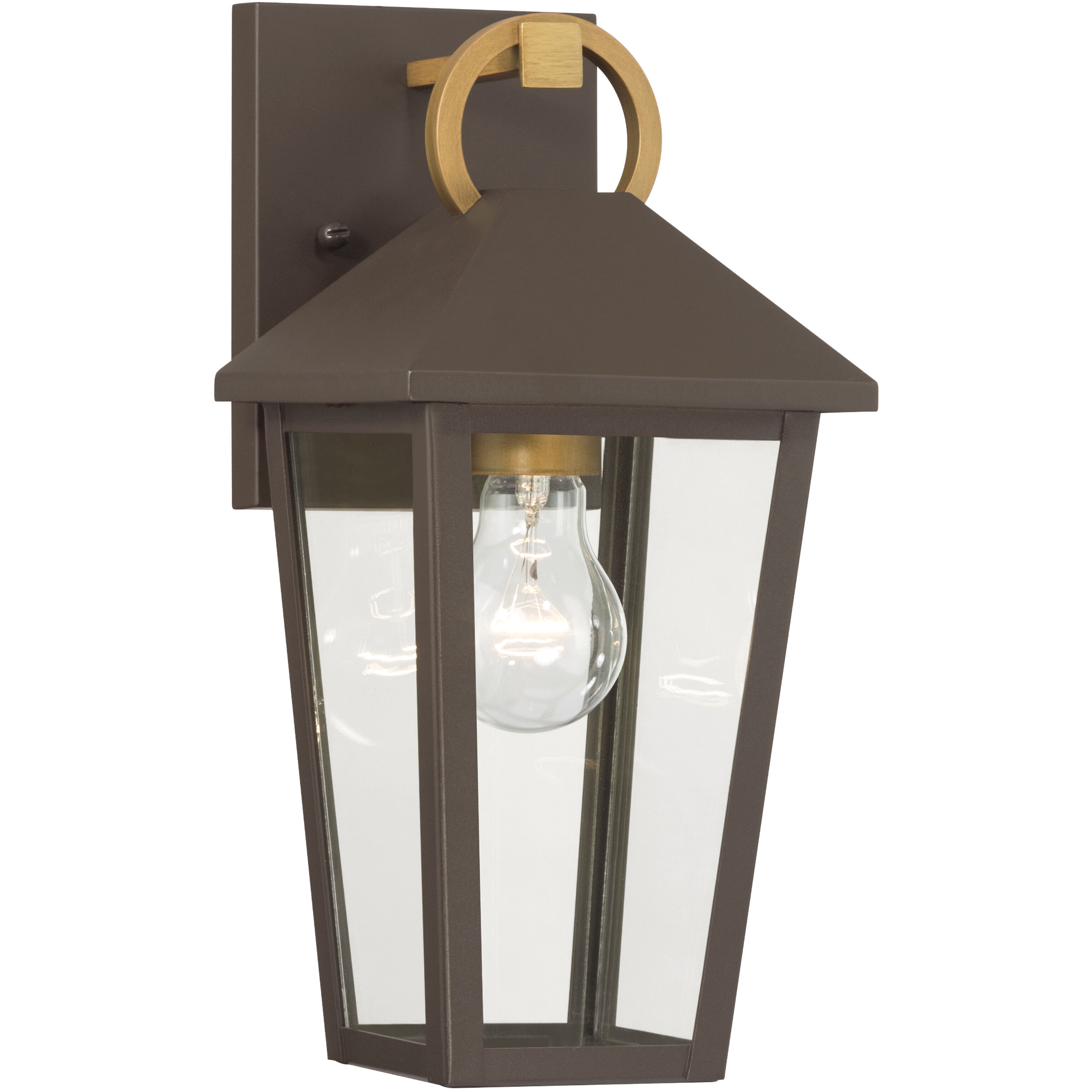 Bayra 1 Light 13 inch Painted Legacy Brass and Dark Bronze Outdoor Wall Lantern