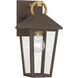 Bayra 1 Light 13 inch Painted Legacy Brass and Dark Bronze Outdoor Wall Lantern