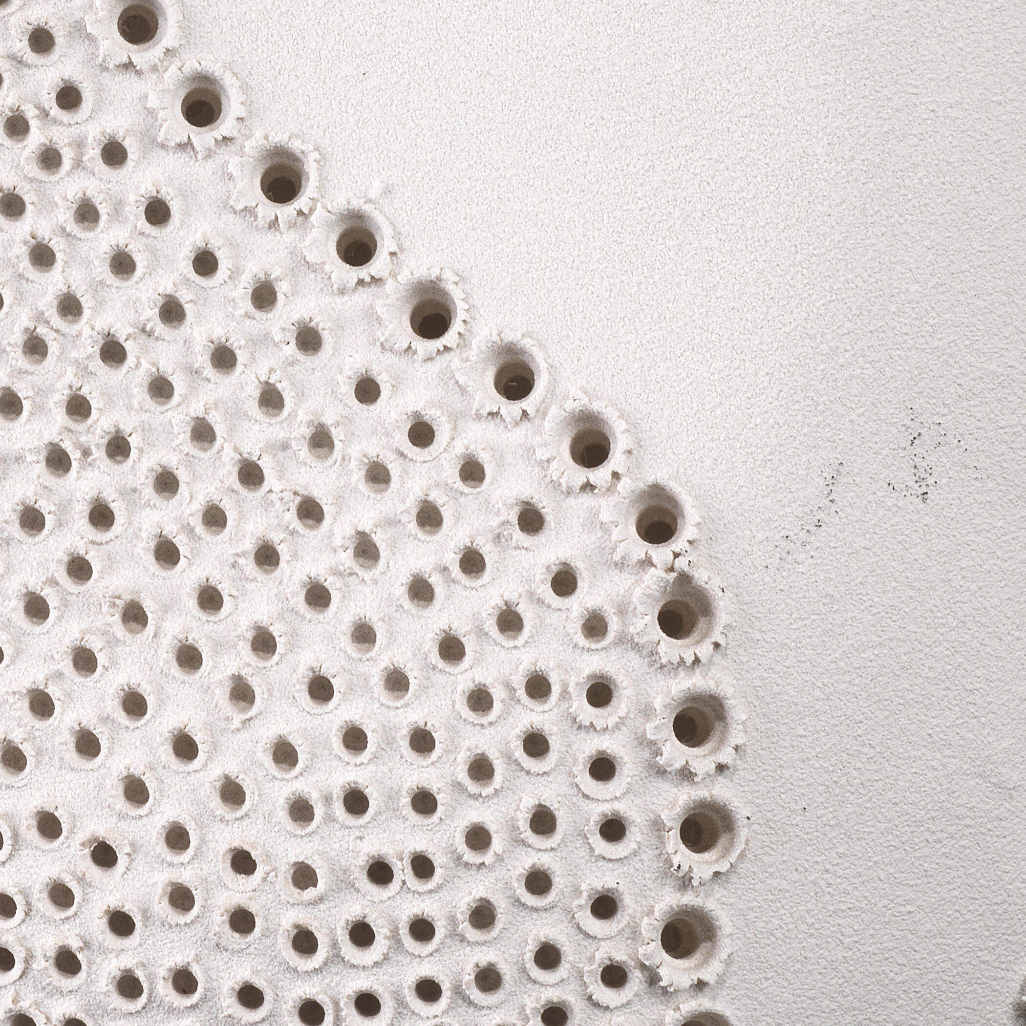 Moonrise 12.5 X 8.5 inch Vase in Matte White Porcelain