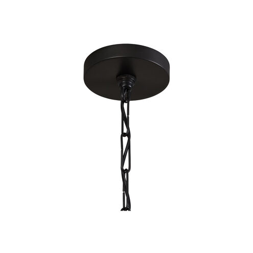 Rabun 1 Light 12 inch Dark Pewter Pendant Ceiling Light