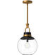 Alora Mood Copperfield 1 Light 11.88 inch Aged Gold Pendant Ceiling Light in Clear