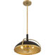 Yorkshire 2 Light 14 inch Dark Matte Black and Legacy Brass Pendant Ceiling Light