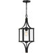 Raeburn 1 Light 8.5 inch Matte Black with Burnished Brass Outdoor Hanging Lantern