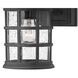 Freeport LED 9 inch Black Outdoor Wall Mount Lantern, Small
