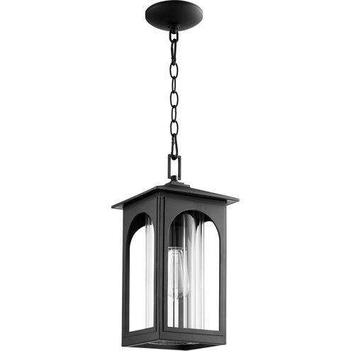 Harbor 1 Light 8 inch Noir Pendant Ceiling Light