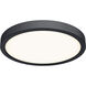 Delta LED 10 inch Black Flushmount Ceiling Light, Indoor/Outdoor