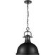 Yep Duncan 1 Light 14 inch Matte Black Pendant Ceiling Light, Large