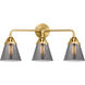Nouveau 2 Small Cone 3 Light 24 inch Satin Gold Bath Vanity Light Wall Light in Plated Smoke Glass
