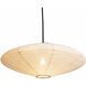 Roswell LED 10 inch Matte Black Pendant Swag Light Ceiling Light
