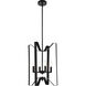 Hoffman 4 Light 14 inch Black Pendant Ceiling Light
