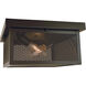 Windsor 2 Light 14 inch Satin Pewter Flush Mount Ceiling Light
