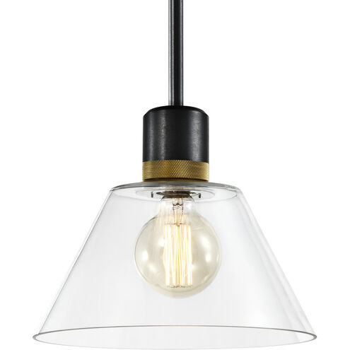 Zigrina 1 Light 11.75 inch Satin Brushed Black with Aged Brass Pendant Ceiling Light