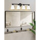 Vienna 4 Light 29 inch Matte Black Vanity/Bath Bar Wall Light