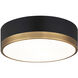 Trydor 2 Light 12 inch Black and Aged Gold Glass Flush Mount Ceiling Light in Black and Aged Gold Brass