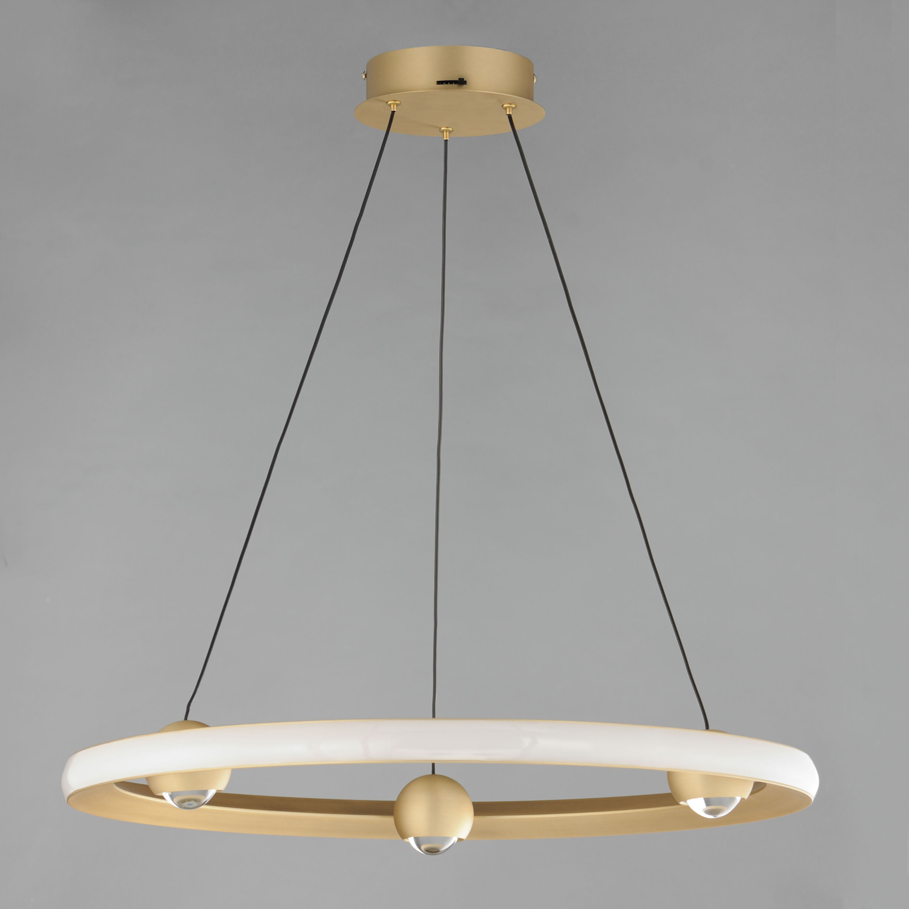 Nodes LED 24 inch Gold Ring Pendant Ceiling Light
